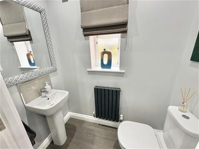 Picture 12